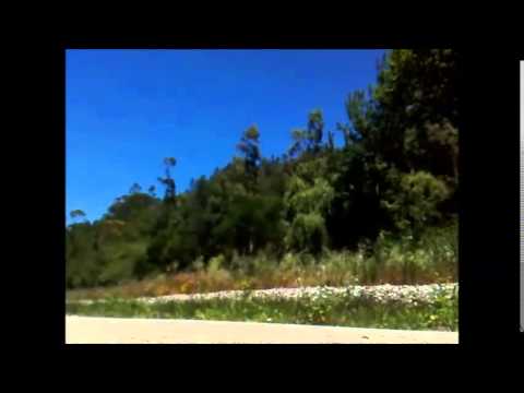 CP 1971 | 50366 | Roliça