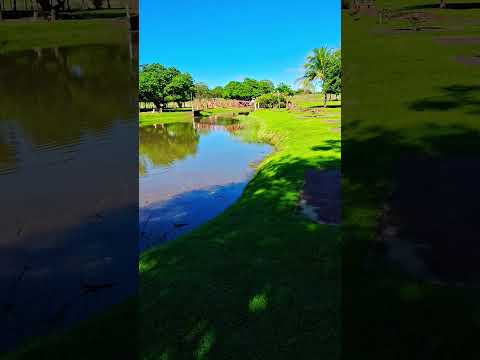 Espelho d'água em Paranaiba/ MS,  Estado do Pantanal