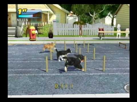 code petz sports chiots & compagnie wii