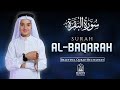Surah Al Baqarah سورة البقرة Beautiful Quran Recitation For Peace Protection Blessings