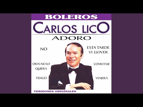 Tu Que Me Das / No / Adoro / Tengo / Esta Tarde Ví Llover / Viajera / Con Estas Manos / Liliana...