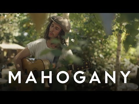 Harry Hippie video