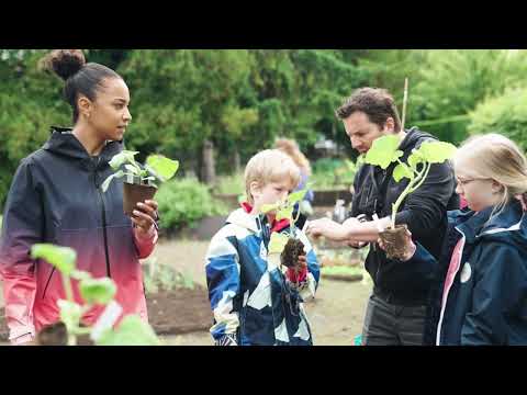 Unsere gemeinsame Vision: Ernährungsbildung 🥕🥔🧅