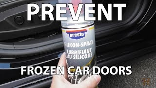 How to prevent car doors form freezing - prevent door seals from dry rotting
