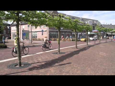 ANAE boomroosters in Bergeijk