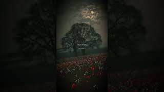 Download lagu 🥺💔 Tabah ho gaye aesthetic lyrics WhatsApp status kalank trending sad status mp3