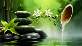 Let Go of Stress 🍃 Gentle Meditation Sounds for Peaceful Moments