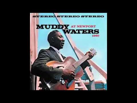 Muddy Waters at Newport 1960 (Full Album)