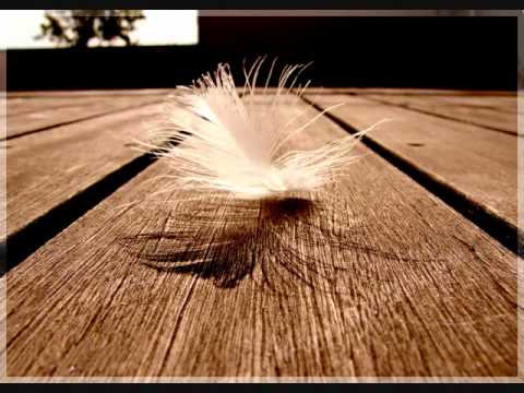 La Pluma - Martina Camargo