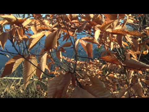 274 River Road Madison take 1