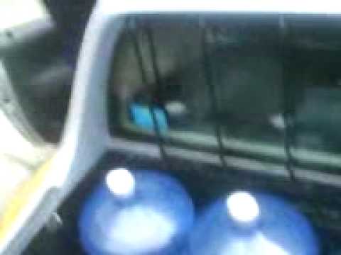 el manto el oso y el pedo