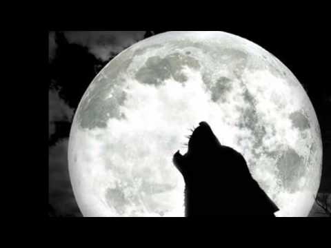 Game Over - Вълк Единак