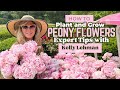 How to Plant and Grow Peony Flowers: Expert Tips with Kelly Lehman