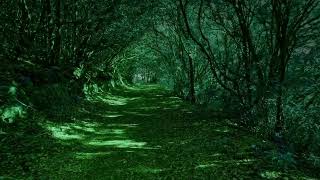 Jungle Dreams: Soothing Music for Relaxation