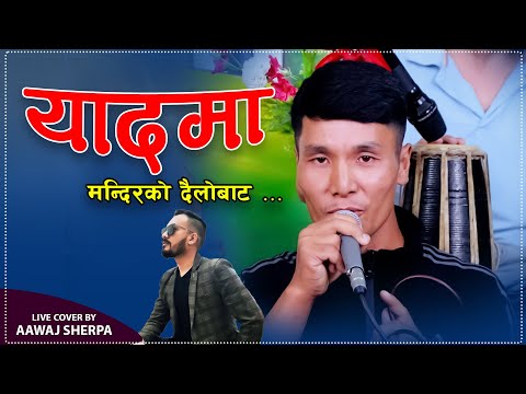YAADMA - LIVE COVER BY AAWAJ SHERPA | PAWAN RANABHAT | NEW NEPALI SONG 2082/2025
