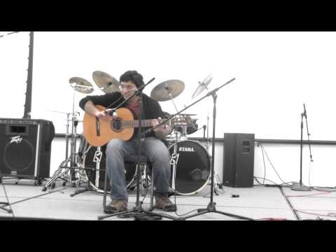 Phys Rev 2013: Vatsal Dwivedi