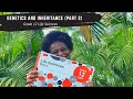 Grade 12 Life Sciences Genetics And Inheritance Part 2
