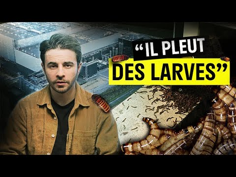Enquête VAKITA sur Ÿnsect