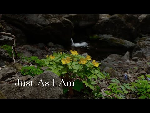 313 SDA Hymn - Just As I Am (Singing w/ Lyrics)