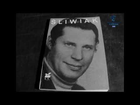Literatura i prasa - Tadeusz Śliwiak