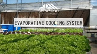 Evaporative Cooling Systems – GrowSpan Greenhouse Tips Evaporative Cooling Systems – GrowSpan Greenhouse Tips