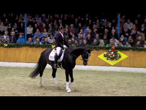 Goldberg 2017 - Hengststation Gut Neuenhof