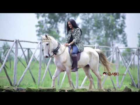 Hirphaa Gaanfuree ''Madda Gammachuu'' New Oromo Music