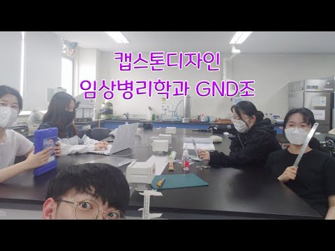 조직 카세트 냉각 트레이