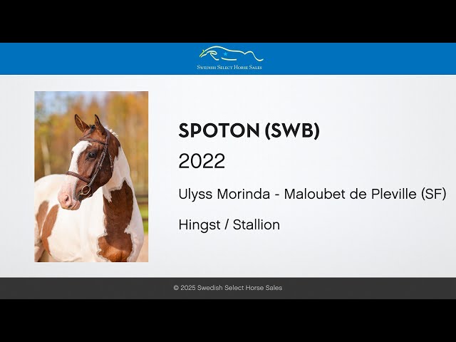 Spoton - Free jumping