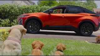 Subaru New Car Smell | Subaru Uncharted EV Dog Tested