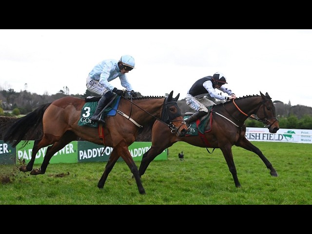 Thumbnail for Post ID: rCANmy8CX-Y