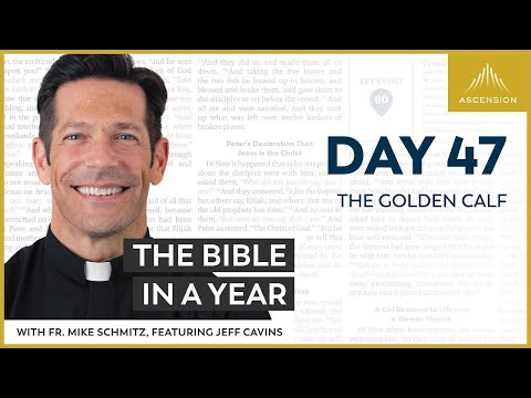 Day 47: The Golden Calf — The Bible in a Year (with Fr. Mike Schmitz)
