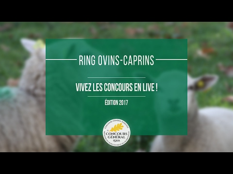 Voir la vidéo : Ring Ovins et Caprins du 27 février 2017