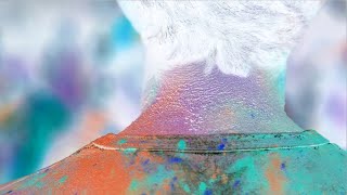 SavaGe - The City
