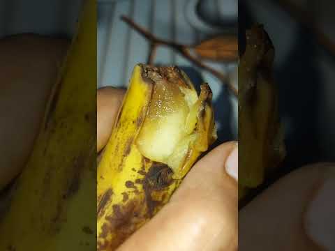 chemical wala fruit | fruit hai ya zaher?| life with nilofar
