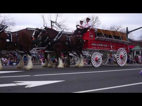 Patriot's Day Parade, Lexington Massachusetts, 2017