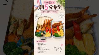 作り置きで作る高校生男子弁当🍱 #作り置き #高校生男子弁当 #お弁当 高校生男子弁当 #お弁当記録 #tensong