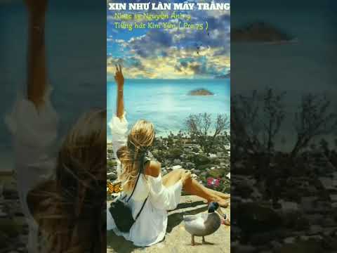 Xin như làn mây trắng Sheet - Kim Yến
