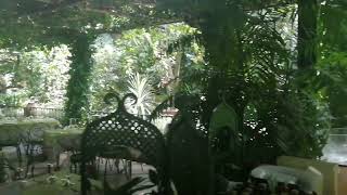 Oparrucchiano La Favorita - 1074