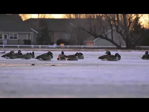 Christ Devo  Day 11 of 365 December 11 2024