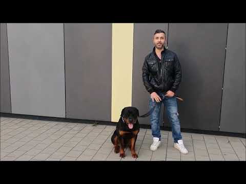 Sert.G  X  Baba Flash - Intikam Zehri