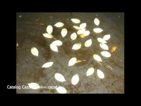 Cazare Marcesti, Cluj - Cazat.ro