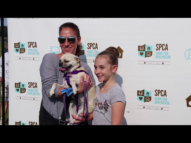 SPCA Hamilton Burlington LeggatCare