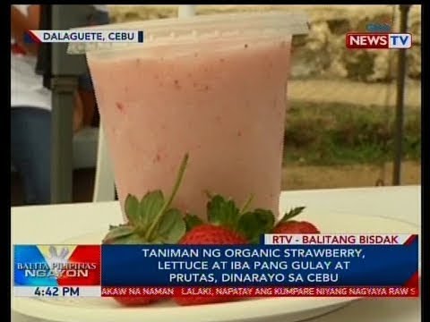 Kung paano mawalan ng timbang kung kumain ka ng isang pulutong ng isang araw Kung paano mawalan ng timbang sa pamamagitan ng 7 kg para sa isang linggo kung ako 12 taong gulang
