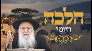 סימן שא הלכות שבת הרב בניהו שמואלי שליטא השיעור היומי כג שבט התשפ"ה