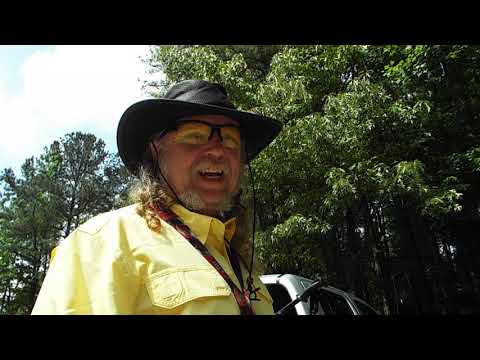 Trekking Poles, Walking Sticks, Hiking Staff, oh my