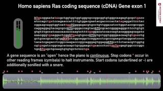 What does DNA sound like? 05 Coding Sequence