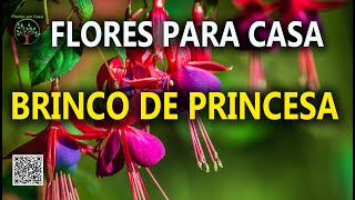 Miniatura do vídeo