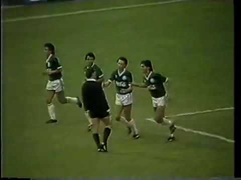 Mogi Mirim 0x2 Palmeiras - Campeonato Paulista 1991