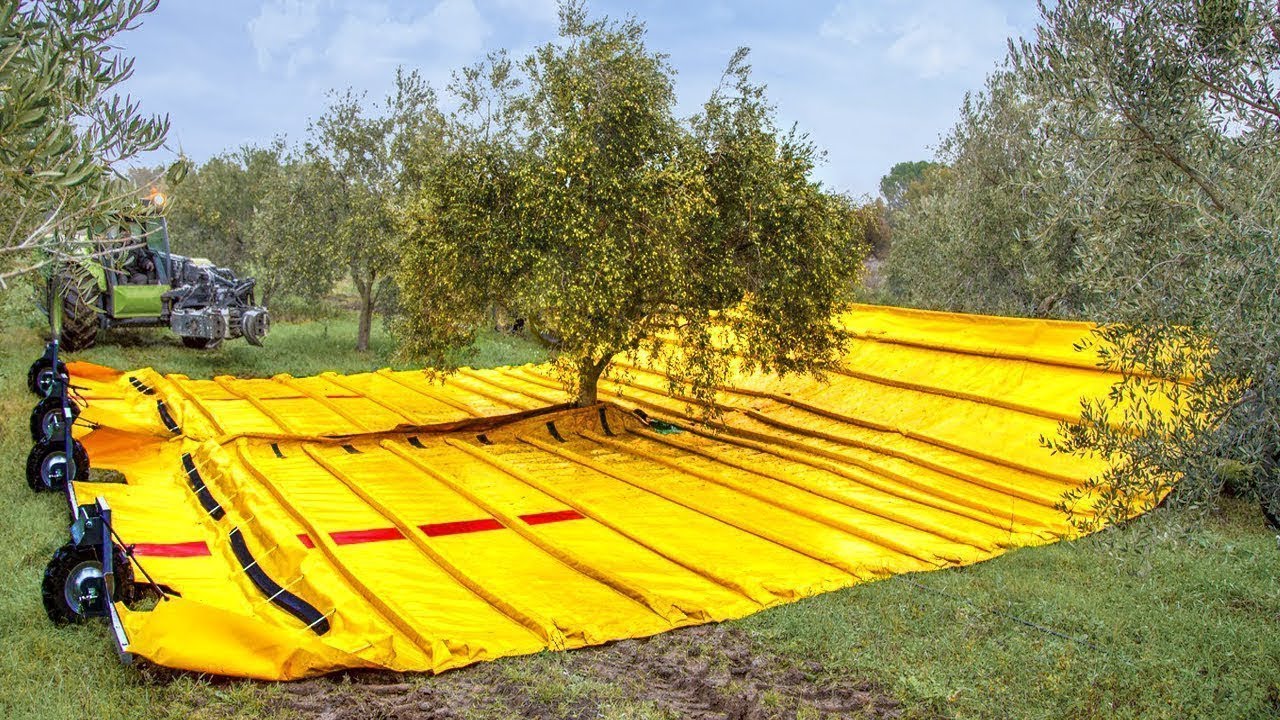 INVENÇÕES ENGENHOSAS QUE PROVAM QUE O FUTURO ESTÁ CHEGANDO HOJE
